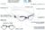 Cressi Unisex Schwimmbrille Flash Erklärung